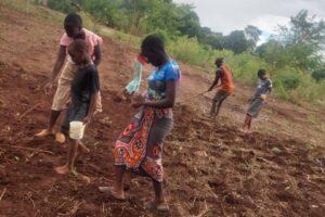 April 2023: Harvest Season!