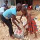 AUGUST 2023: Harvesting Maize & feeding the boys!