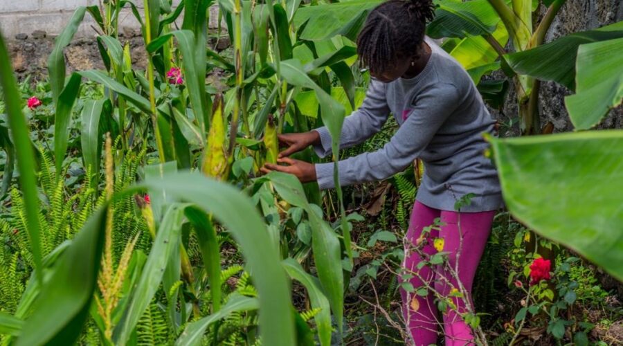 APRIL 2024: Learning To Garden