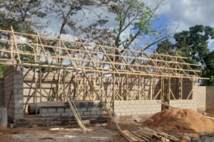 OCTOBER: New Chicken House, Expanding Farm!