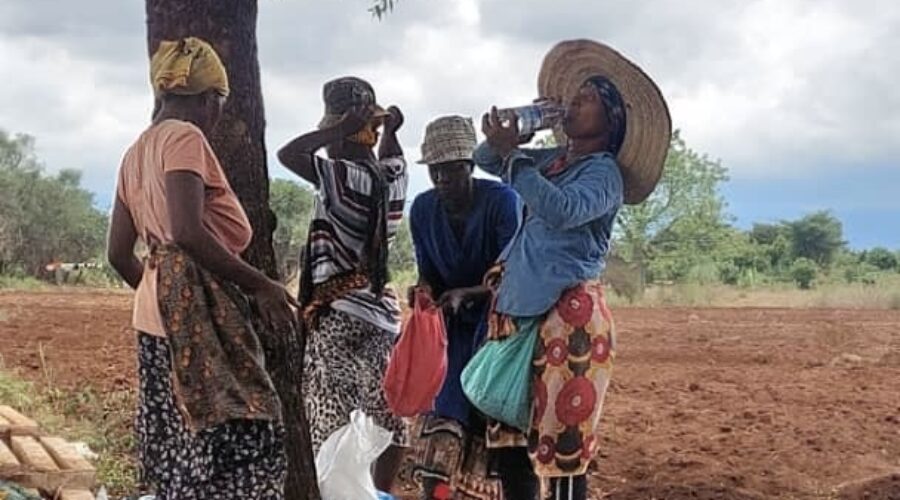 FEBRUARY: Farming Season + School Exams